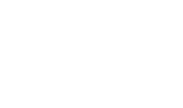 Logo Messingschlager Holzhandel
